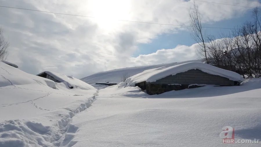 Muş’ta bir köy kara esir oldu! Herkes elinde kürekle geziyor: 100 metre Bolu tüneli gibi tünel açtık 7