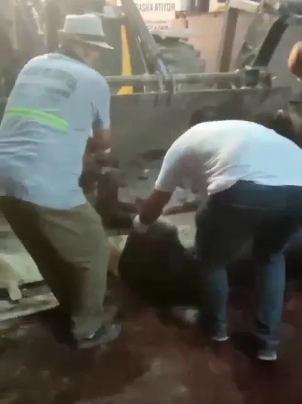 Adana’da mide bulandıran görüntü! Kesilmiş eşek ve kesilmemiş at bulundu