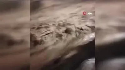 Peru’da sel felaketi 30 bina yıkıldı