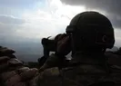Bakanlık duyurdu: Teslim oldular
