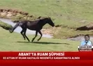 İstanbuldan sonra şimdi de Boluda ruam paniği!