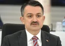 Bakandan açıklama! Fındık fiyatı ne kadar olacak?