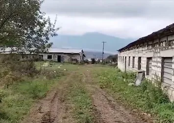 Mel Gibson'ın 'soykırım' iftirası elinde patladı!