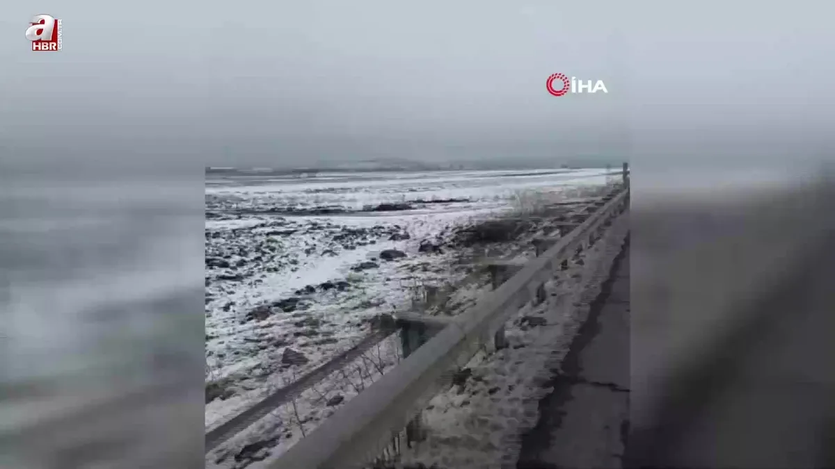 Aç kalan kurt sürüsü şehir merkezine indi