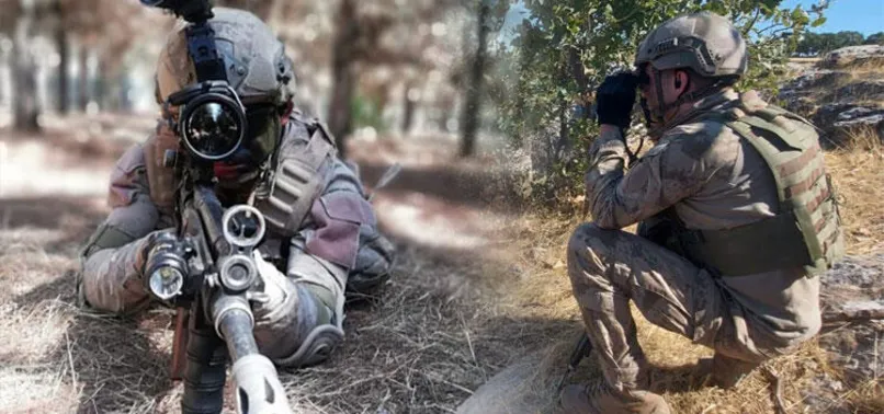 Son dakika: Yıldırım-8 Savur Operasyonu başlatıldı! Yüzlerce personel görev alıyor