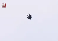 Gökyüzündeki görkemli yırtıcı