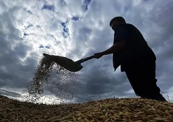Bakanlık düğmeye bastı! Tarımsal üretime kuraklık ayarı