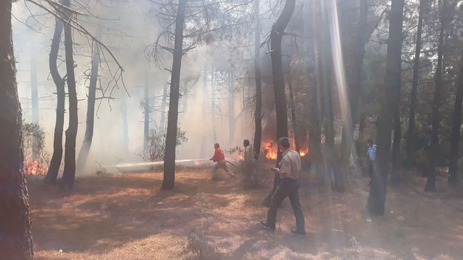 Aydos Ormanı'ndaki yangının nasıl ve kim tarafından çıkarıldığı belirlendi
