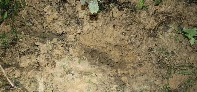 yeni-dogan-bebegini-bahceye-gomen-cani-annenin-cezasi-belli-oldu-1715854966252.jpg Yeni doğan bebeğini bahçeye gömen cani annenin cezası belli oldu! - 4