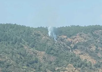 Marmaris'teki orman yangını söndürüldü