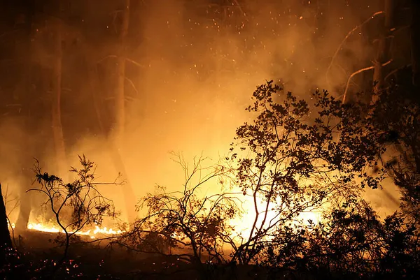 İstanbul Çekmeköy’de orman yangını! Ekiplerin müdahalesiyle kontrol altına alındı