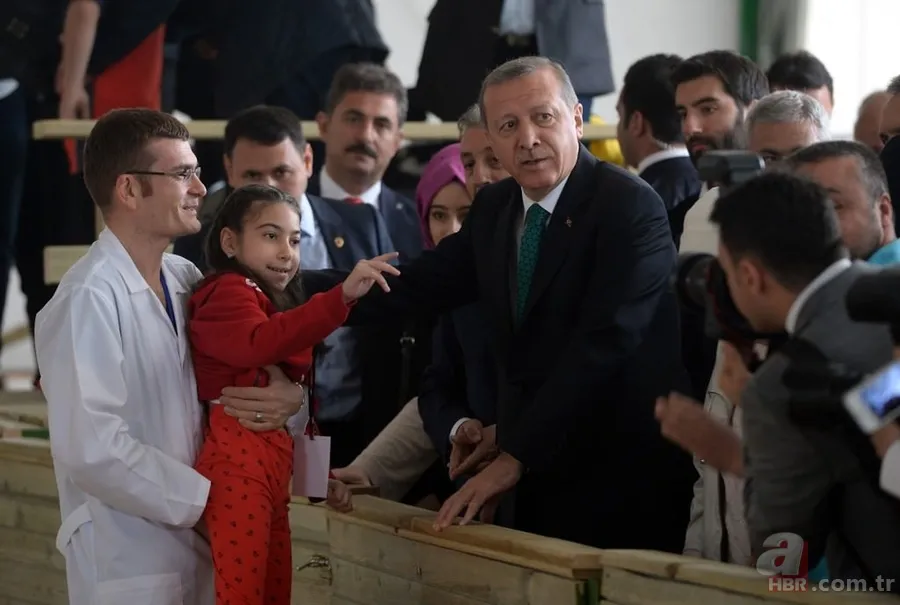 Katar emirinden Cumhurbaşkanı'na sürpriz: 53 tane Arap atı gönderdi 7