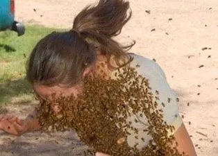 Arılar bir anda saldırdı 🐝 Genç kadın hayatının şokunu yaşadı