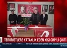 Teröristlere yataklık eden kişi CHPli çıktı