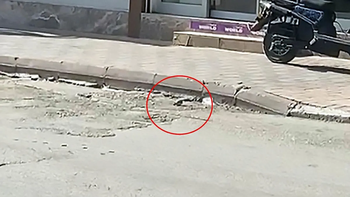 Adana'da yol kenarında el bombası bulundu