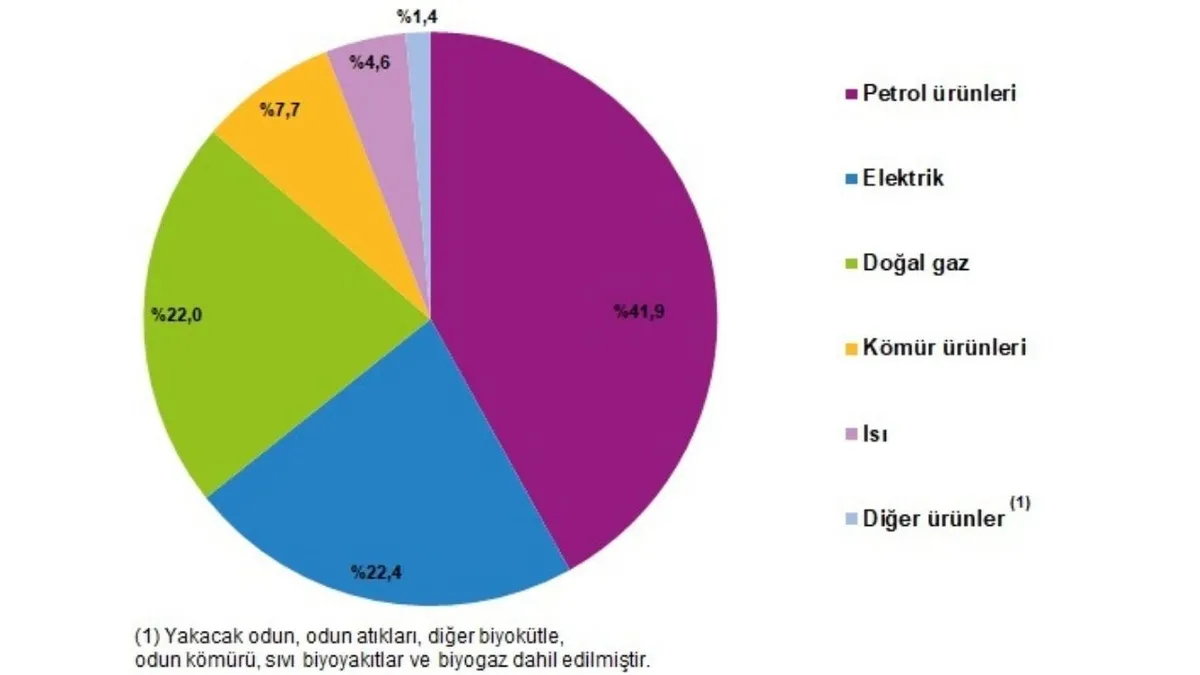 tuik-enerji-hesaplari-2024te-en-cok-enerjiyi-hangi-sektor-tuketti-1781082273739.jpg Enerji ürünlerinin nihai kullanım oranları, 2024 (Görsel: TÜİK)