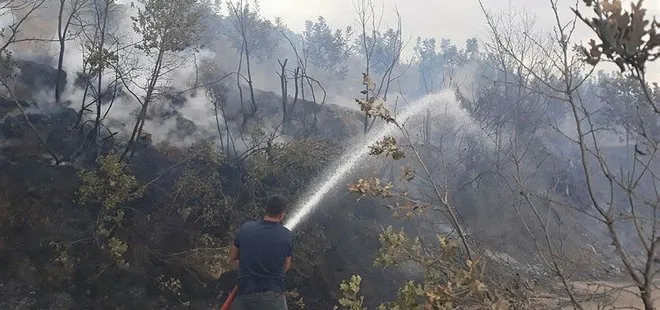 Son dakika | Tarım ve Orman Bakanı Bekir Pakdemirli yanan orman alanlarıyla ilgili son noktayı koydu