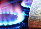Artan doğal gaz fiyatlarıyla ilgili çarpıcı araştırma