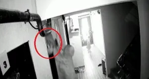 2 aylık evladı ellerinden kayıp gitti!