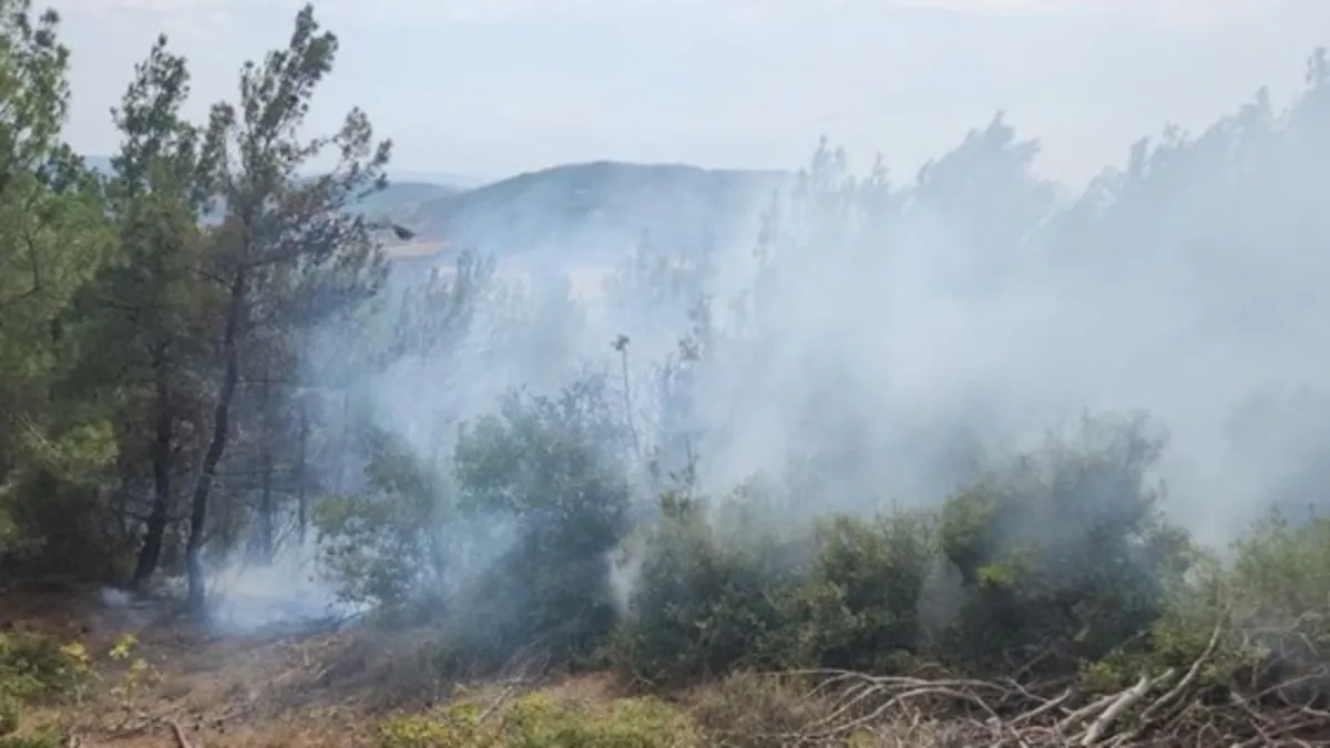 Kütahya’da yıldırım dehşeti: Orman yangınına neden oldu