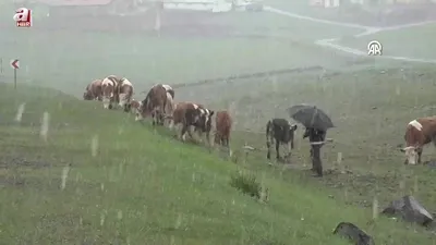 Besiciler köylerine dönmek zorunda kaldı