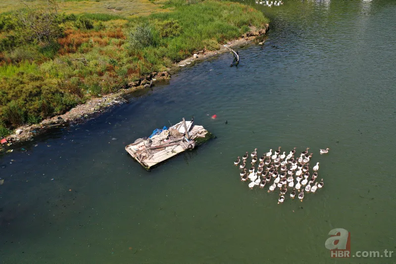 CHP'li İBB'nin Haliç yalanı! Kirlilik yine gün yüzüne çıktı 4