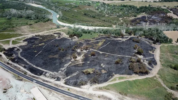 Ankara’daki Nallıhan Kuş Cenneti sazlığındaki yangının nedeni belli oldu