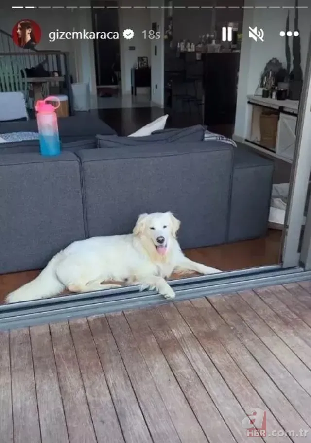 Gizem Karaca hakkında şaşırtan iddia! Ekranlardan uzak kalmıştı... 13