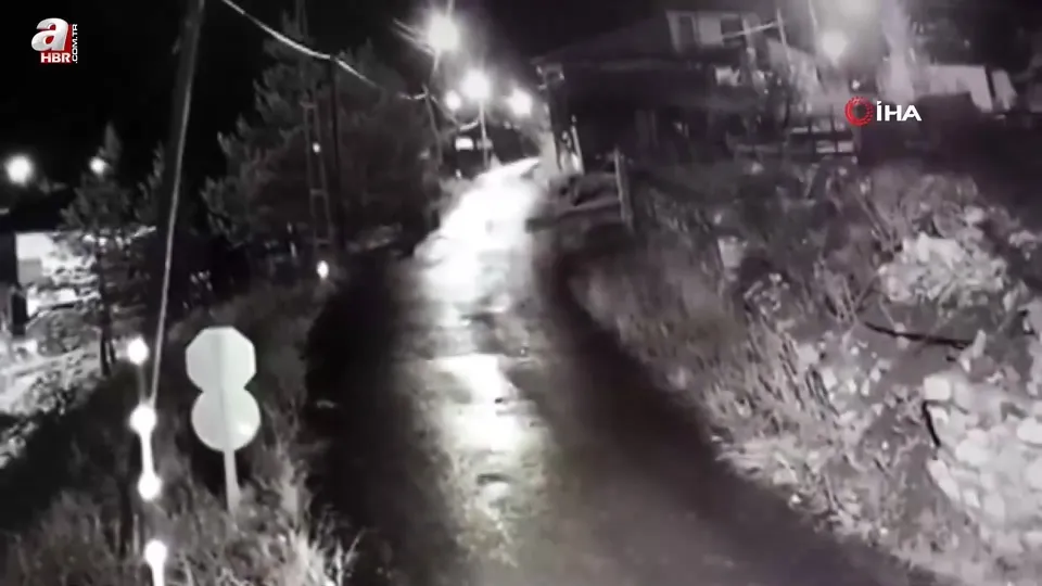 Yerleşim alanlarına inen ayılar kamerada