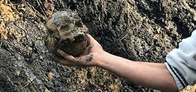 Aydın'da ürküten olay! Okul bahçesinden kafatası ve kemik parçaları çıktı