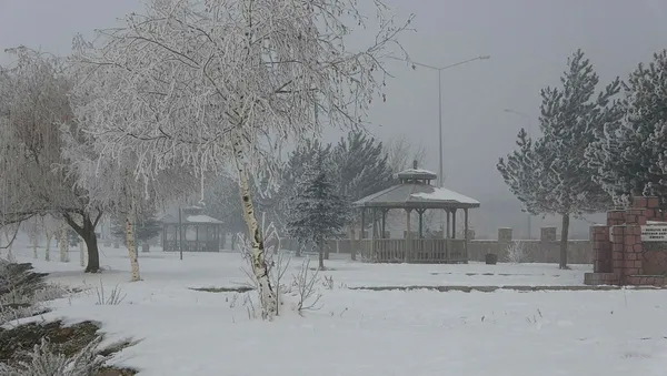 Kar ve sağanakların artışıyla Sibirya soğuğu gelecek!! Hava sıcaklığı eksi 20 derece olacak! İşte 5 günlük hava durumu - 11