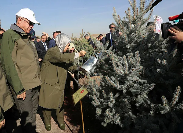 Erdoğan’dan sözde çevrecilere sert tepki: Geziciler neredesiniz! - 6