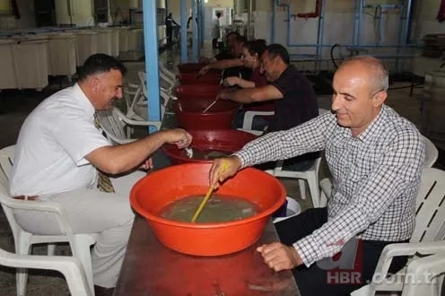 Balık sağımı başladı, hedef 5 milyon balık 4