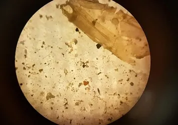 Hava değil mikroplastik soluyoruz! Bilim insanları uyarıyor