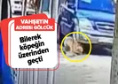 Bilerek köpeğin üzerinden geçti
