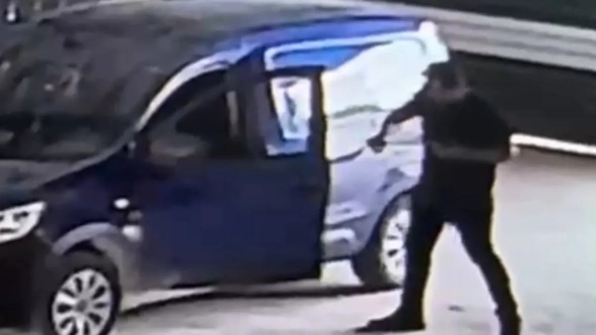 Aracın içinden çıktı! Yılan paniği kamerada