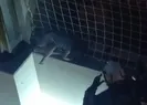 Çocuğunu düşmesin diye dakikalarca tuttu