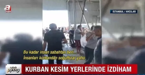 CHP'li belediyeler bayramı halka zehir etti! İstanbul'da kurban kesim rezaleti kamerada! Vatandaş isyan etti - 2