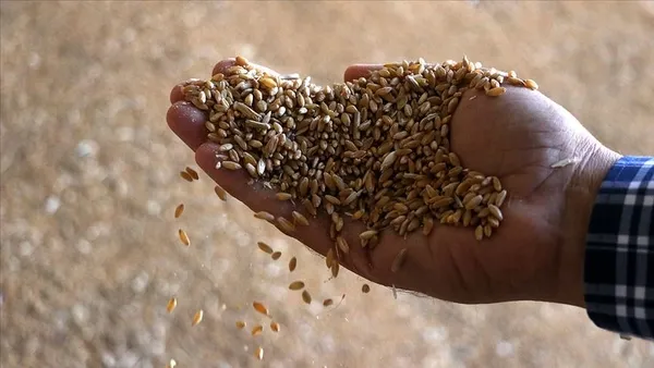 Orman ve tarım alanında düzenleme: Yasa teklifi TBMM Genel Kurulu’nda onaylandı