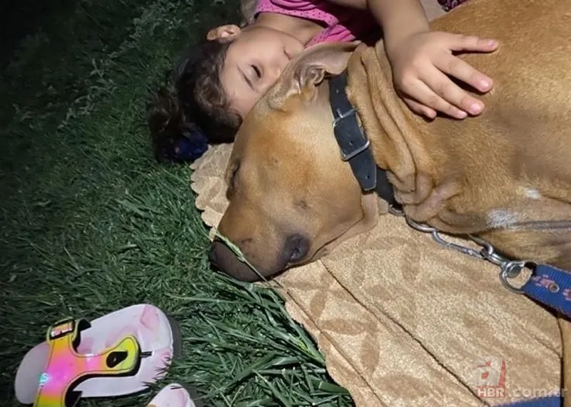 Asiye Ateş son durumu! Rektör Özkan açıkladı: Maalesef yüz felci var 18