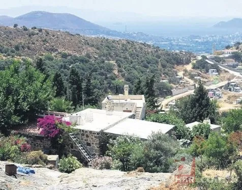 Burak Özçivit'in 3.5 aylık hamile eşi Fahriye Evcen'den hayran bırakan şezlong pozu! Minik Karan'la koronavirüse yakalanmıştı 25