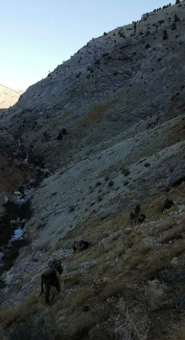 Tunceli'de 200 PKK’lı kıstırıldı - 3