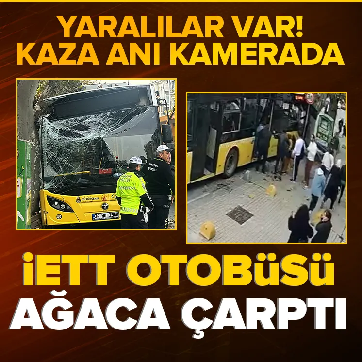 İETT otobüsü ağaca çarptı