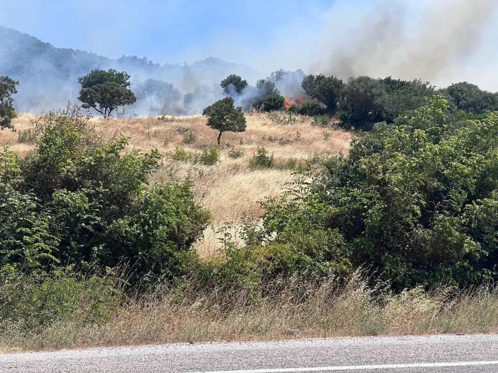 Çanakkale'deki orman yangını söndürüldü: Soğutma çalışmaları sürüyor - 2