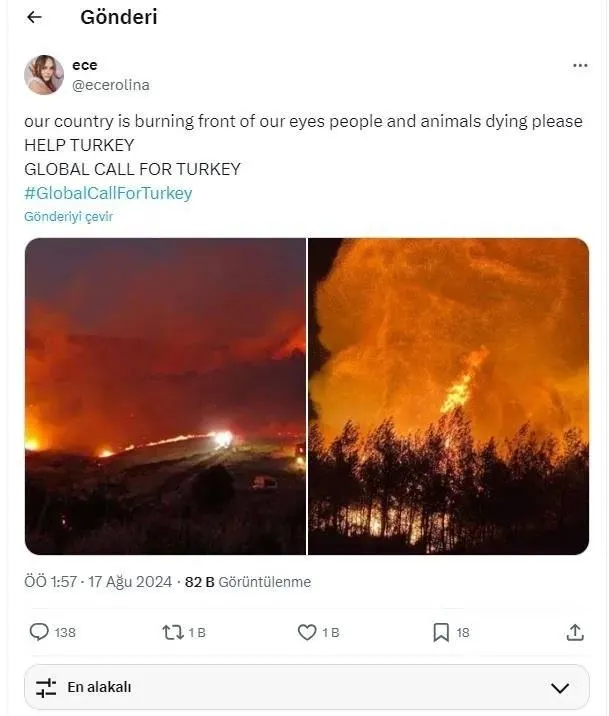 1723881752679.jpeg İstismarcılar her yangında olduğu gibi yine sahnede! Başka ülkedeki yangınları paylaşıp... - 3