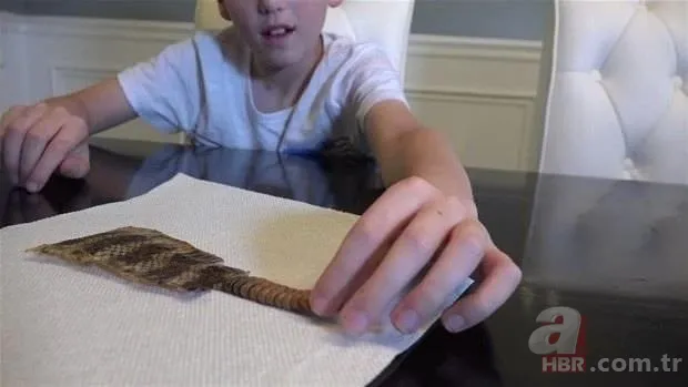 Otomobilde yılan paniği 16