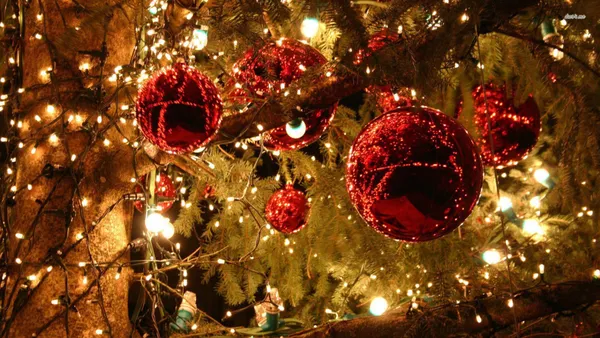noel-ne-zaman-kutlaniyor-noel-mesajlari-sozleri-kisa-uzun-2021-noel-basladi-mi-1640338817635.jpg Noel mesajları sözleri 2021! Arkadaşlar, dostlara kısa uzun Noel mesajları! Noel ne zaman kutlanıyor? - 3