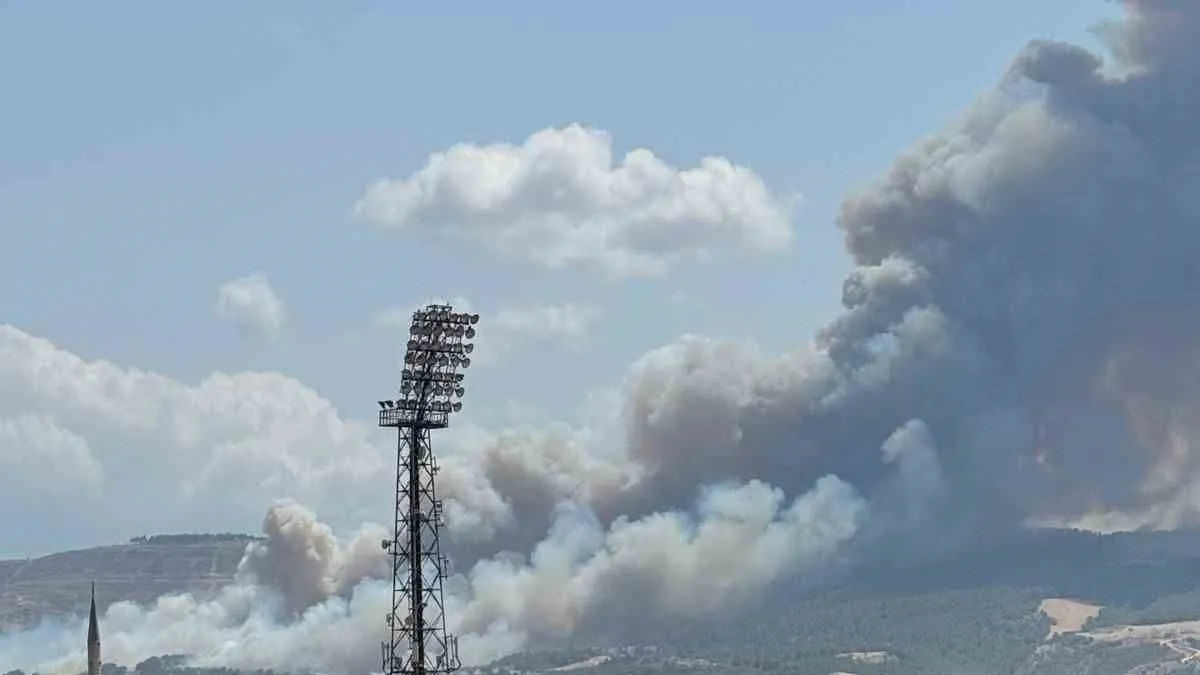 Çanakkale'de orman yangını