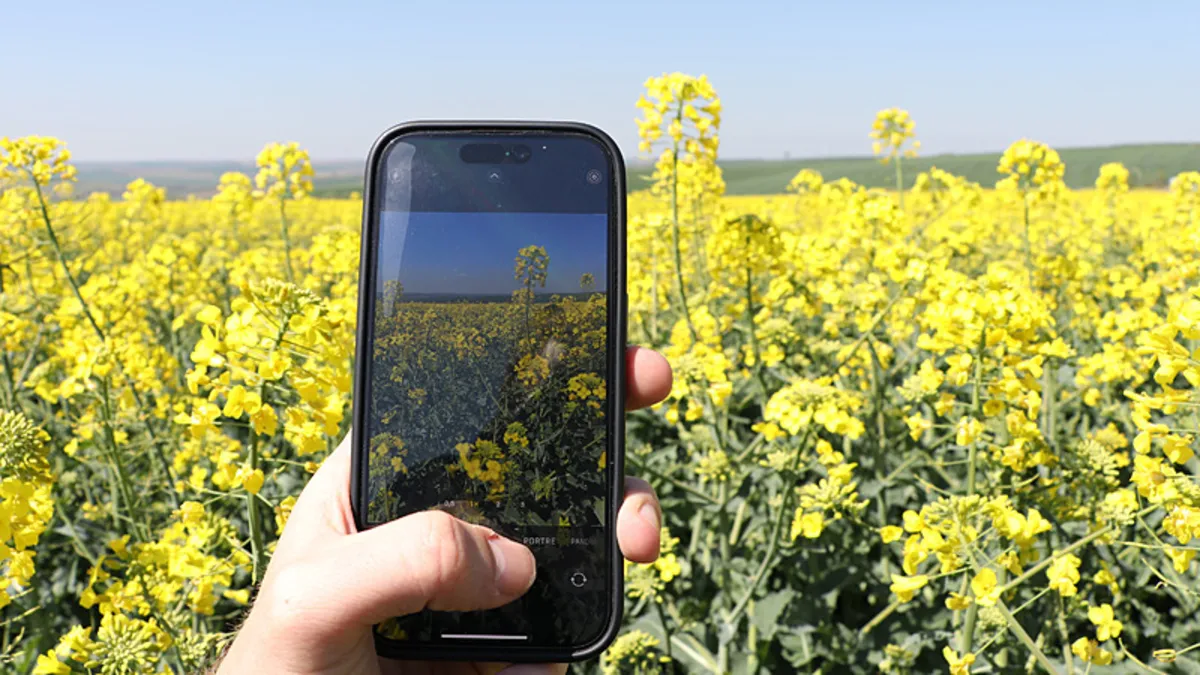 Gören telefonuna sarılıyor! Görüntüsüyle hayran bıraktı namı Türkiye'ye yayıldı