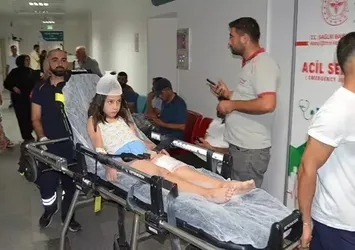 Düğüne giden çocuğu köpek ısırdı